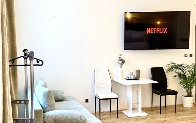 Apartment Opletalova 10
