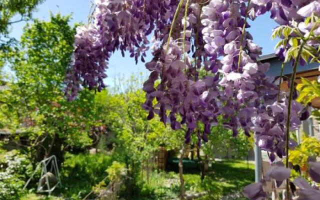 Guest House Heart Of Telavi