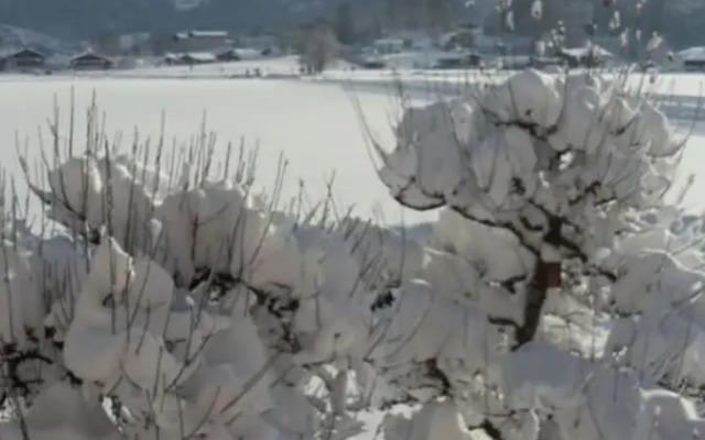 Kehlstein - Reich Family