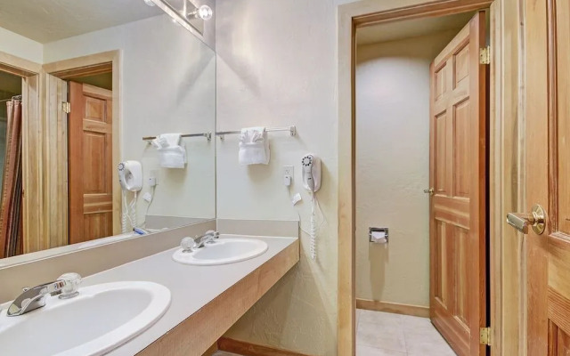 Village at Breck V4224