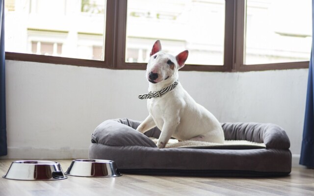 Casual Apartments Málaga