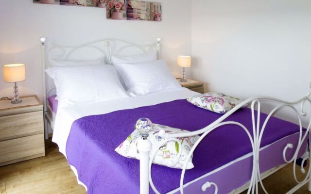 Lavanda (SRD460)