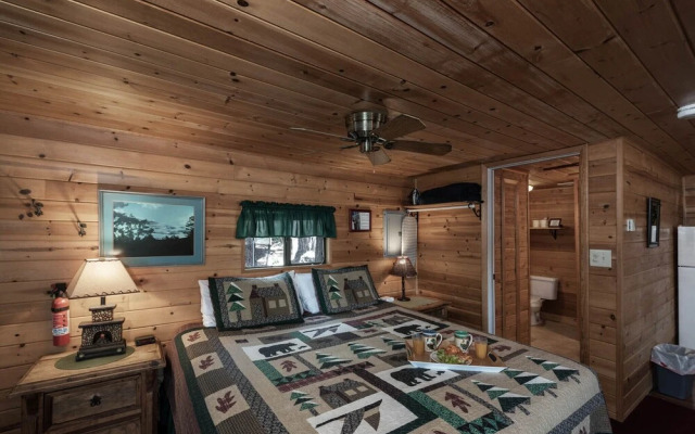 Cozy Bear Cabins
