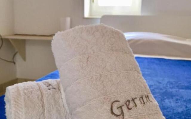 Studio Gerani 1