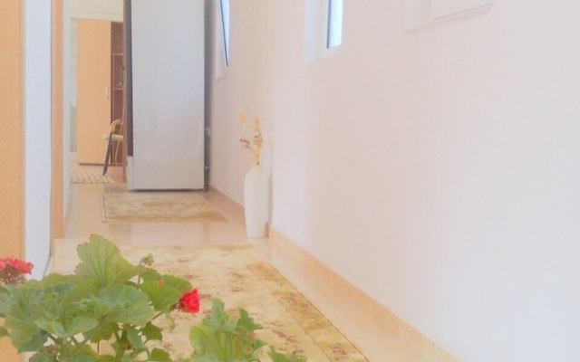 Guest house Pipo