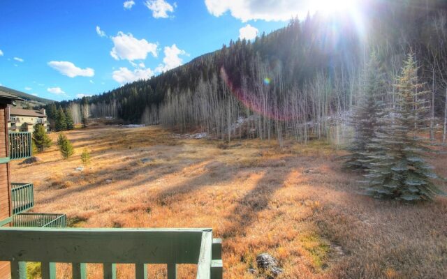 1208 Timber Falls 3 Bedroom Condo