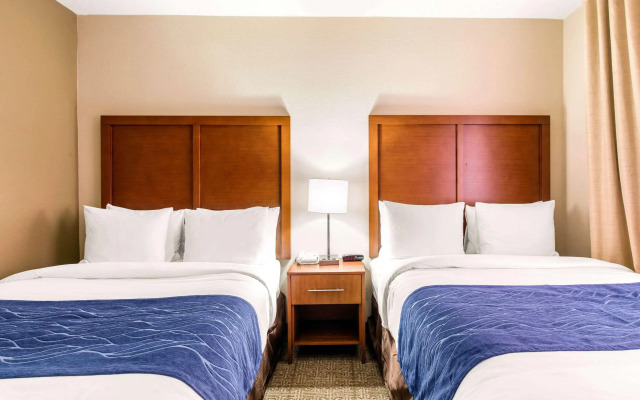 Comfort Inn & Suites IAH Bush Airport – East