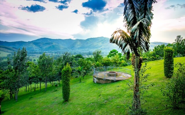 The Crested Crane Bwindi Hotel