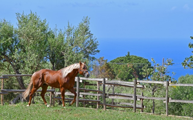 Villa Passulunara 14