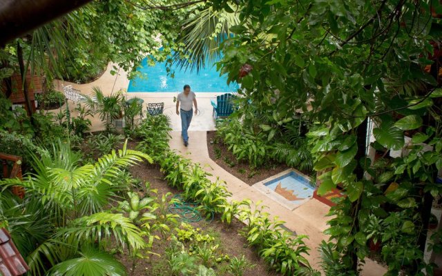 Eco-Hotel El Rey del Caribe