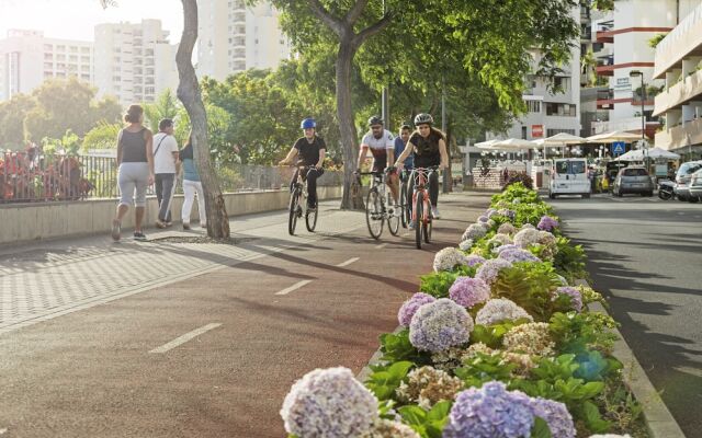 Amparo I by An Island Apart