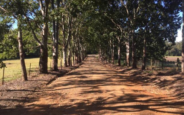 Blackwattle Farm B&B