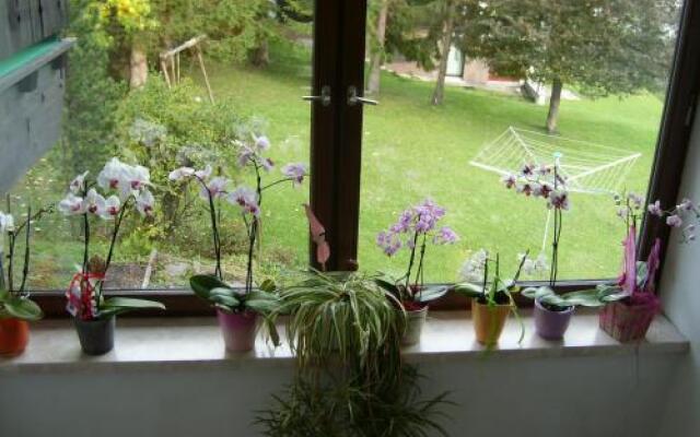 Appartements Birkenhof