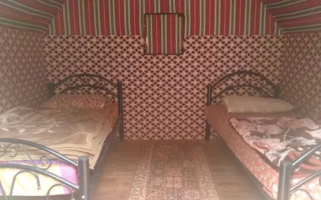 Bedouin habits tours camp