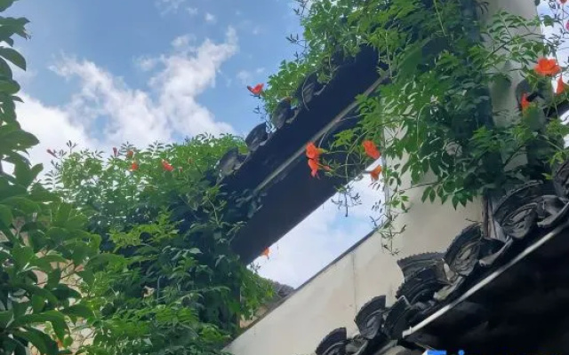 Fengming Shanju Hongcun Sleepless Homestay