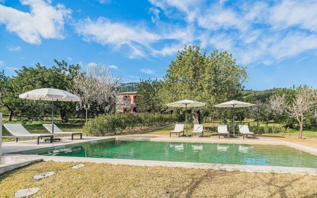 NEW 2020 - Empaltada