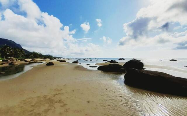 Cay Sao Phu Quoc