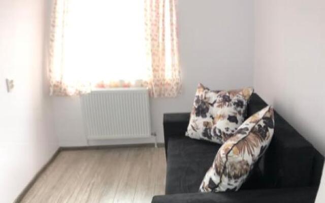 Apartament Ultracentral Vatra Dornei