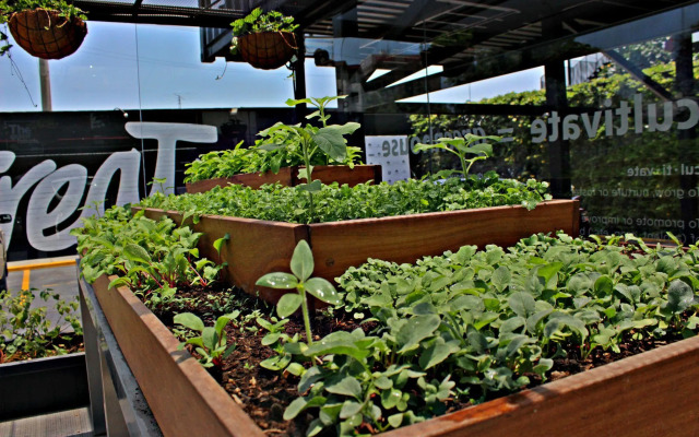 BTH Hotel - Boutique Concept