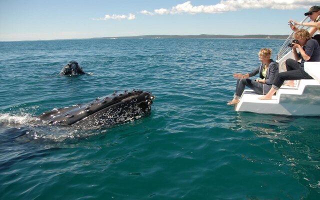 Watermark Apartments