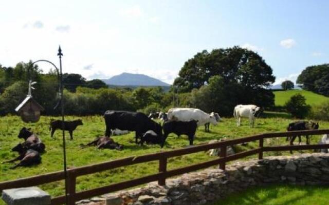 Tryfan Cottage