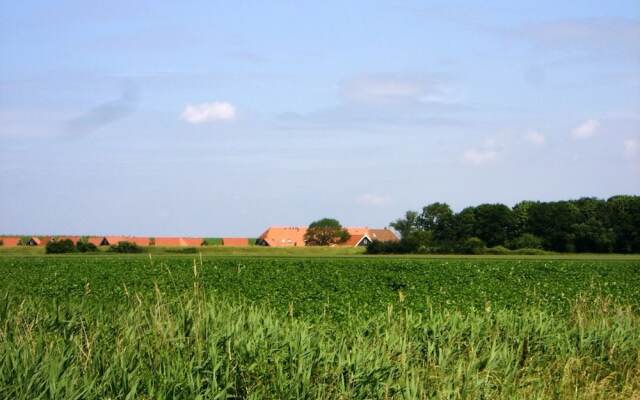 Group Accommodation 50 m From the Oosterschelde
