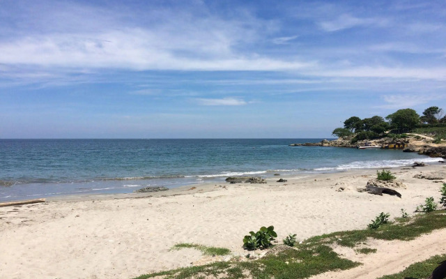 Blue Apple Beach