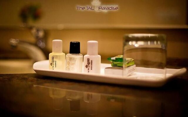 Tal Paradise
