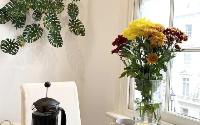 Stylish Apartments in Pimlico