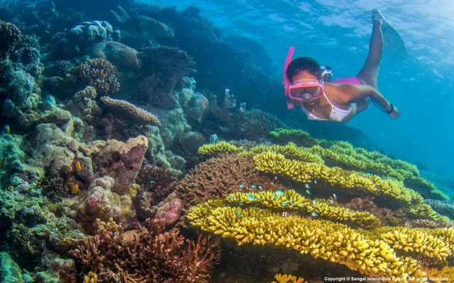 Sangat Island Dive Resort