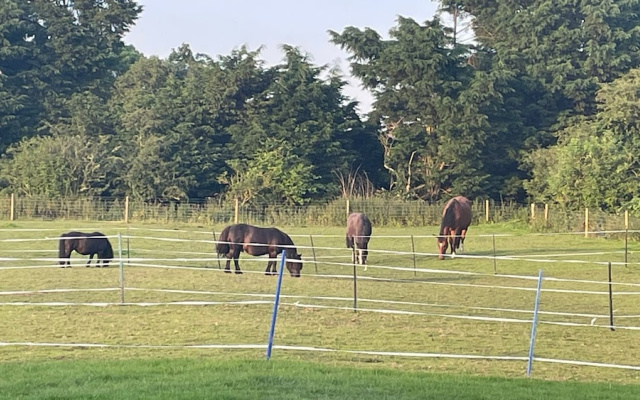 Tranquil Equestrian Escape - Sleeps 2