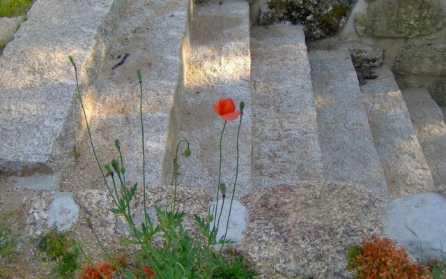 Room-paradise is Real at Vale Martinho R