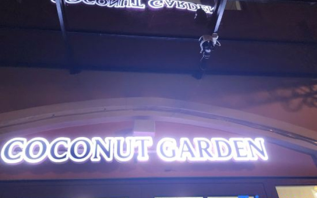Coconut Garden H