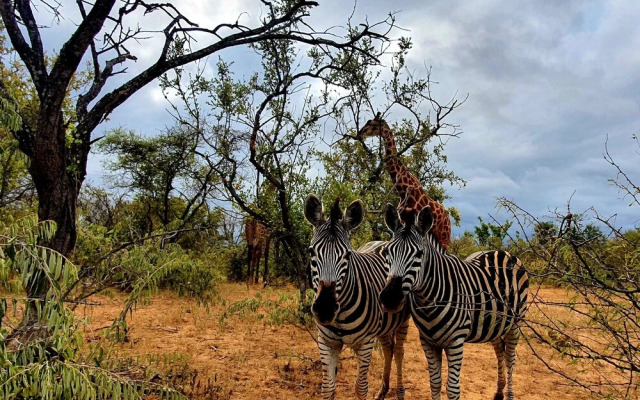 Blyde River Wilderness Lodge