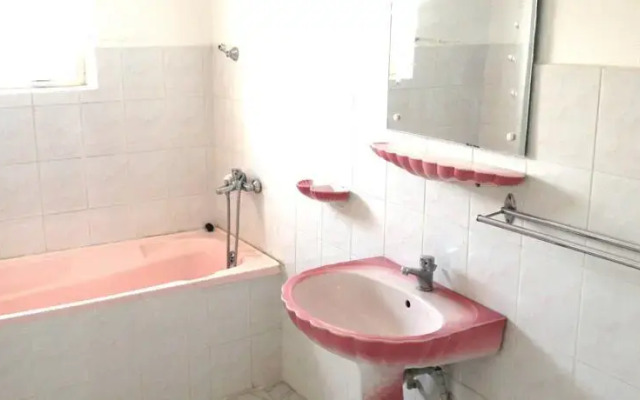 Craiova Penthouse