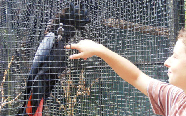 Daintree Wild Zoo & B&B