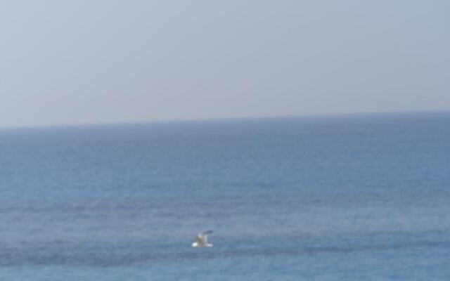 Villetta Arco dei Garofani