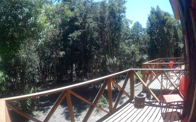 Cabanas Ensenada Bosque Nativo