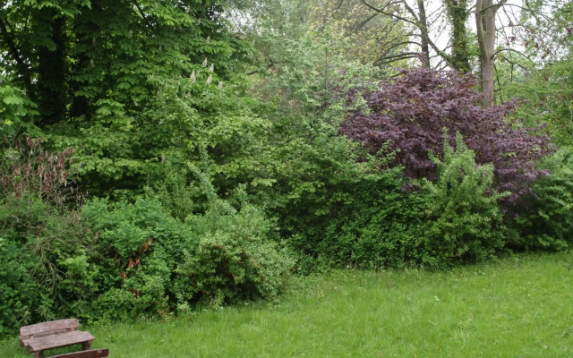 Apparthotel am Friedrichspark