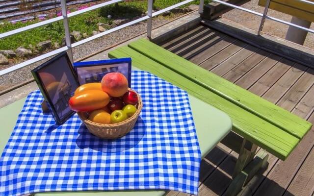 Sunny Junny Pension