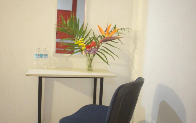 Hotel Plaza Providencia