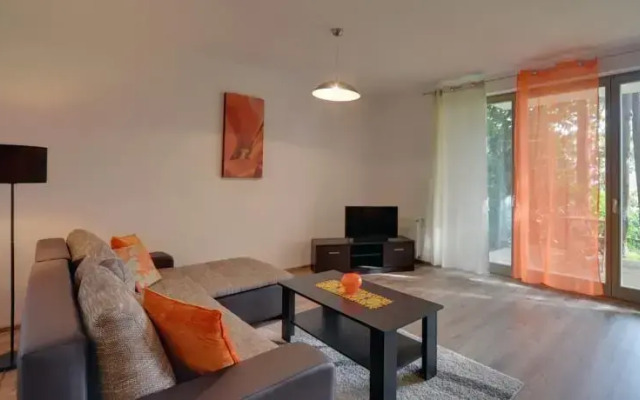 Willa Laser - Sun Seasons 24