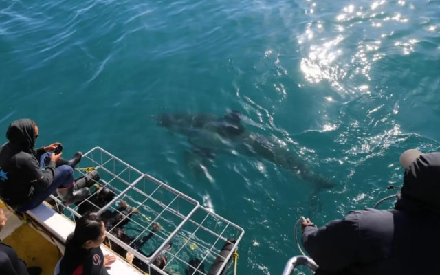 Zeezicht Holiday Guest Unit