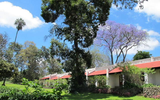 Ngare Sero Mountain Lodge