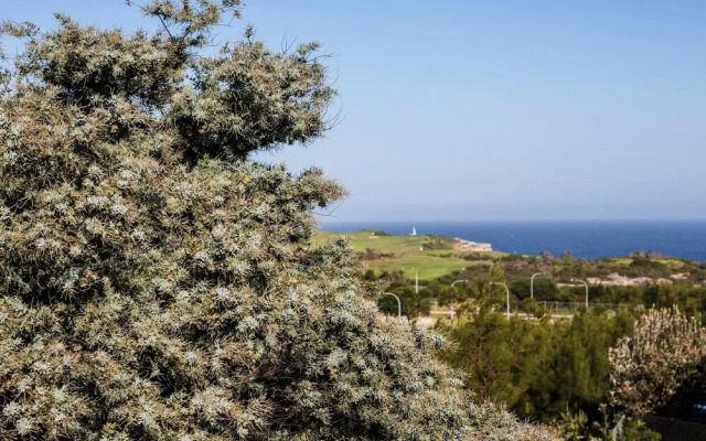 Sydney Seaside Contemporary Executive Living