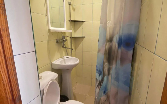 The dolphin