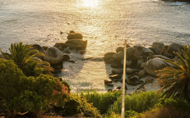 Private Pool Tranquility at Ocean Penthouse Retreat