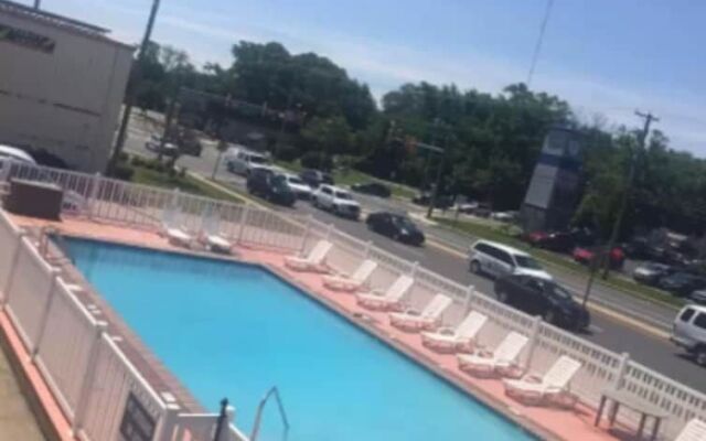 Flamingo Motel