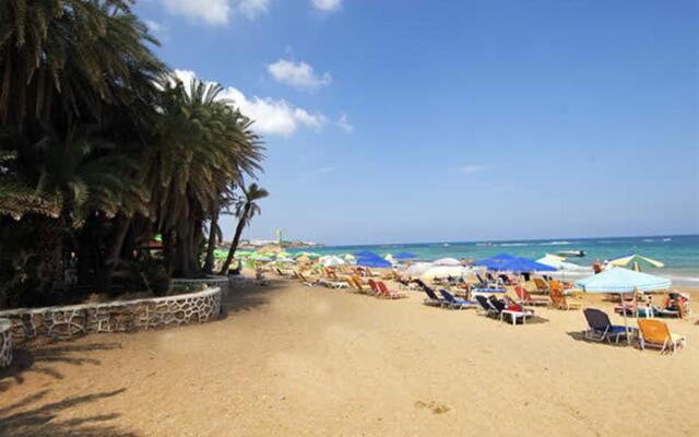 Zeus Hotels Palm Beach