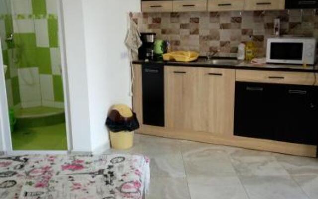 Apartament Daniel